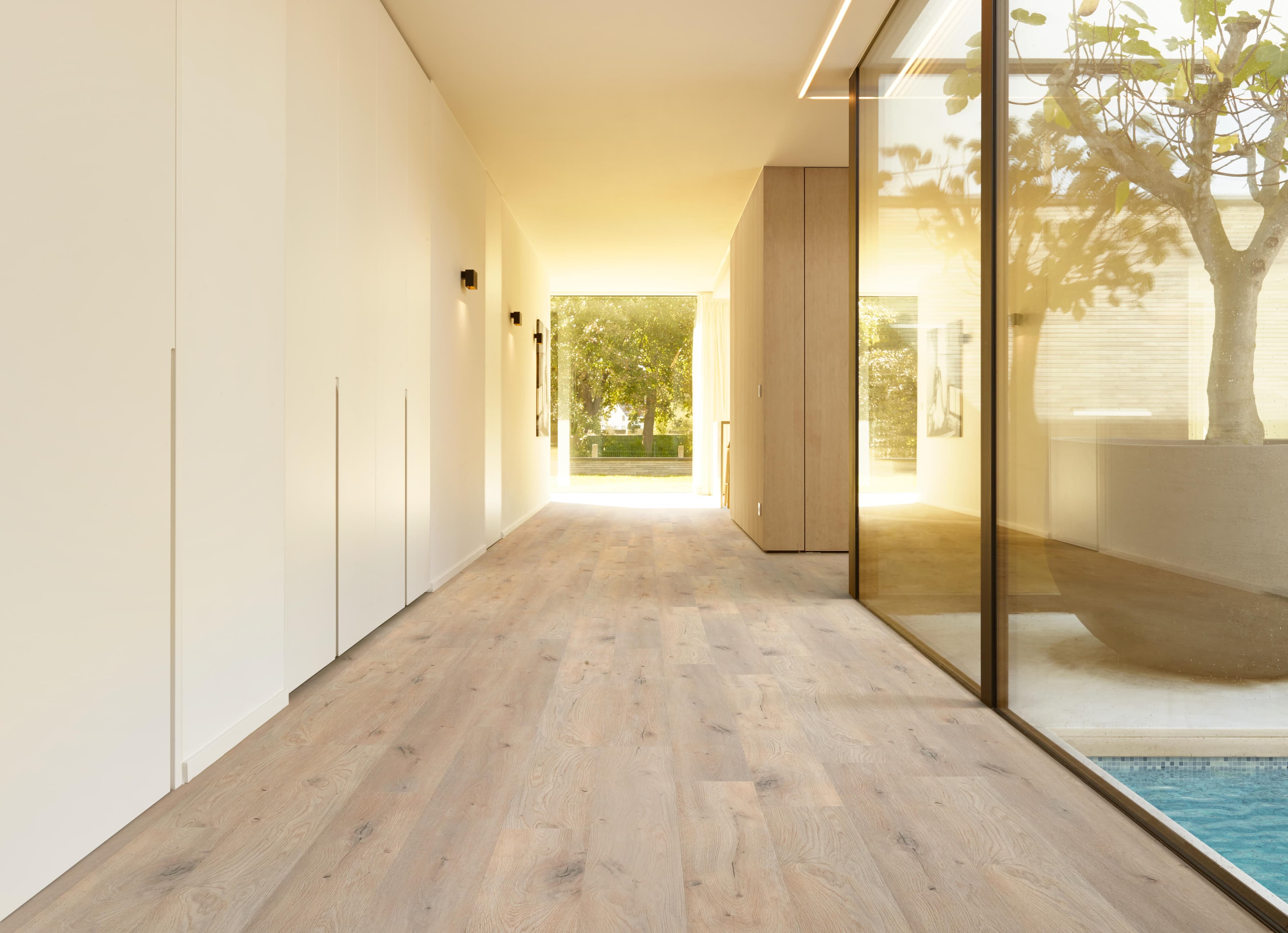 Forest 50 LVP 806.tif